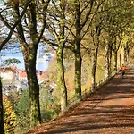 Dinbnb I 300m To Bryggen & Floien I Renovated 2023 *